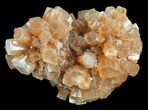 Natural Aragonite Clusters Wholesale Lot - Pieces #61653-2